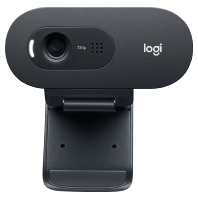 Webcam USB HD,30FPS,Business LOGITECH C505e