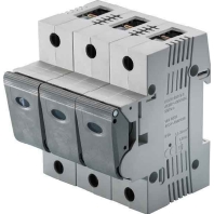 Neozed switch disconnector 3xD02 25A 05863.025000