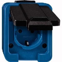 Socket outlet (receptacle) blue 289378