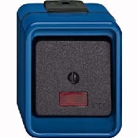 3-way switch (alternating switch) blue 372675