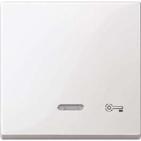 Wippe Kontr.Fenster pws/gl Aufdruck Schlssel 435319