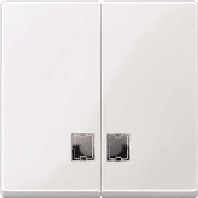 Wippe Symbol Fenster pws fr Serienschalter 438519