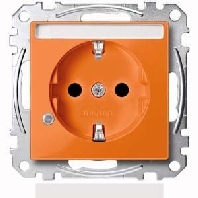 SCHUKO-Steckdose ZSV or Ko.Licht Schriftfeld MEG2303-0302