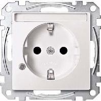 SCHUKO-Steckdose pws Ko.Licht Schriftfeld MEG2303-0419