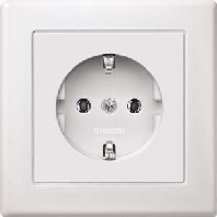 SCHUKO-Steckdose pws volle Abdeckplatte MEG2401-1619