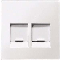 Zentralplatte 2f.pws f�r Modular-Jack MEG4562-0419