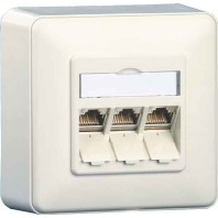 RJ45 8(8) Data outlet 6A (IEC) white 1309130002-E rws