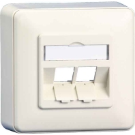 RJ45 8(8) Data outlet white 1309150002-E rws