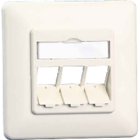 RJ45 8(8) Data outlet white 1309160002-E rws