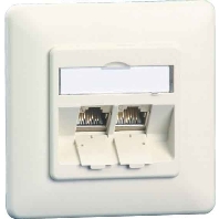 RJ45 8(8) Data outlet 6A (IEC) white TN C6Amod-2UP-180rw