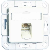 RJ45 8(8) Data outlet white TN EDATC6A-1UPk-rws