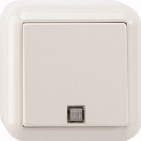 Taster Wechsel mit O-Licht 1-polig polarwei� AP MEG3160-8719