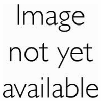 Ausspeiser 9MX056 EA7