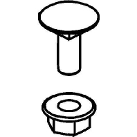 Carriage bolt M6x16mm FLM 6X16 F