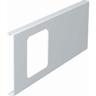 Face plate for device mount wireway D2-1 110RW