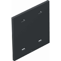 Cover plate for installation units T8NL P01 9011