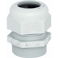 Cable gland / core connector M25 V-TEC VM25 5x4