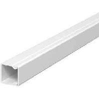 Wand- und Deckenkanal 20x20x2000 PVC rws WDK20020RW