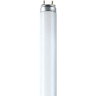 Fluorescent lamp 15W 26mm 4000K L 15/840