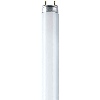 Fluorescent lamp 36W 26mm L 36/76 Natur.d.Luxe