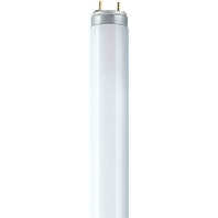 Fluorescent lamp 36W 26mm 5400K L 36/954