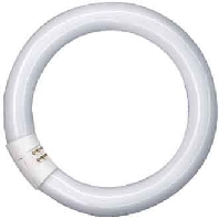 Lumilux-Lampe 40W ringfrmig L 40/840 C