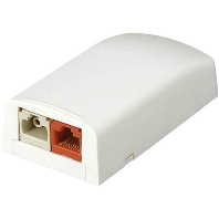 RJ45 8(8) Data outlet white CBX2AW-AY