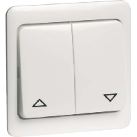 Cover plate for switch white D 80.425.02 JR
