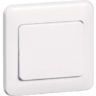 Cover plate for switch/push button D 80.640 V W