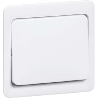 Cover plate for switch/push button D 80.640 W