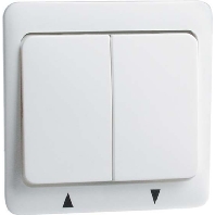 Cover plate for switch/push button D 80.644 W