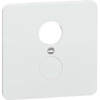 Basic element with central cover plate D 80.677 DIO W