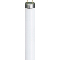 Fluorescent lamp 36W 28mm 3000K TL-D 36W-1/830