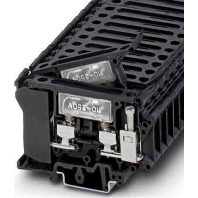 Fuse terminal block 10A 10,2mm UK 6,3-HESILA 250