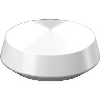 Ersatzglas opal-gl D250mm 05-10120