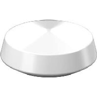 Ersatzglas opal-gl D300mm 05-10130