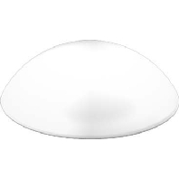 Ersatzglas opal-mt D250mm 05-211005.002