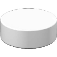 Ersatzglas opal-mt D230mm 05-21101