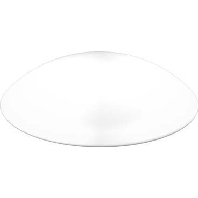 Ersatzglas opal-mt D420mm 05-211011.002