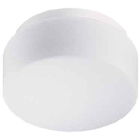 Opalglasleuchte opal-mt A60 75W 21101.002