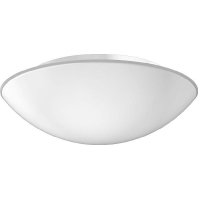Decken-/Wandleuchte ws A60 60W D=370 211344.002.3.19
