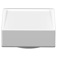 Ersatzglas opal gl 05-20124