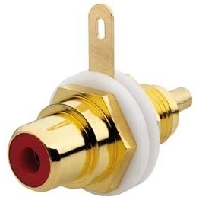 Cinch-Buchse KM-Cinch rw