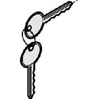 Cylinder key for enclosure 60220-003 (quantity: 2)