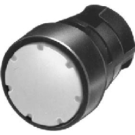 Bettigungselement Leuchtdrucktaster,gn 3SB2001-0AE01