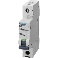 LS-Schalter C3A 1pol 6kA 5SL6103-7