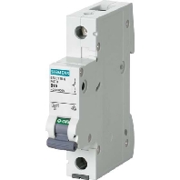 LS-Schalter C8A 1pol 6kA 5SL6108-7