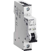 Miniature circuit breaker 1-p D2A 5SY4102-8