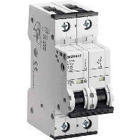 LS-Schalter AC/DC C10A,2pol,T=70,10kA 5SY5210-7