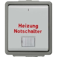 Heizung-Notschalter Delta Flche,dGr/hGr 5TA4742